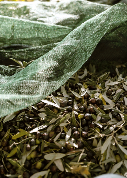 Extra natives Olivenöl – 500ml